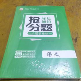 绿色通道小题多维练 抢分题 语文