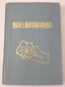 密山市土地利用现状调查报告