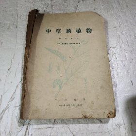 中草药植物