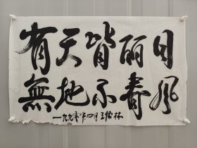 王儒林。11年10月出生于山东省莱芜市。55年9月被授予上校军衔。荣获中华人民共和国二级独立自由勋章、二级解放勋章。60年晋升为大校。88年7月被中央军委授予中国人民解放军独立功勋荣誉章。最高军职是中国人民解军解放军军事科学院战史部副军职研究员（副军级），根据军（副军）级、军种各部部长的资历，可授予少将军衔。在88年中国人民解放军第二次授衔前业已离休，已超过了授衔时效，故无授衔。因此谓无衔将军