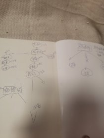 无极球理论与实操 亲签本 研究中国传统文化运动的社会各界人士的参考用书 刘林青等著