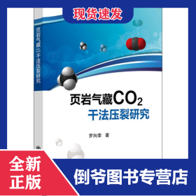 頁巖氣藏CO2干法壓裂研究 9787511450852