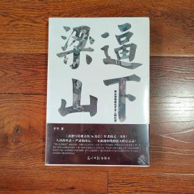 逼下梁山——梁山泊情报头子羊二回忆录 一本诙谐到残酷的人性启示录