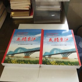 龙腾京沪：京沪高速铁路建设报告文学集（套装上下册）