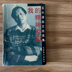 我的精神家园：王小波杂文自选集