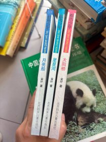 都市少年 太阳桥、星星河、月亮船3本