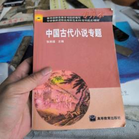 中国古代小说专题