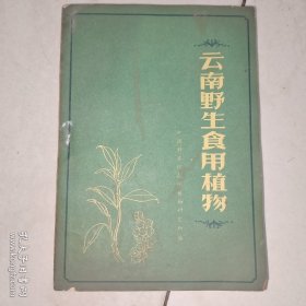 云南野生食用植物