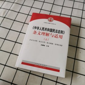 中华人民共和国民法总则 条文理解与适用（套装上下册）