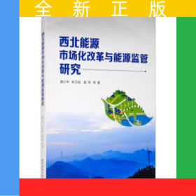 西北能源市場(chǎng)化改革與能源監(jiān)管研究