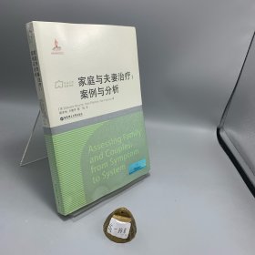 社會工作流派譯庫·家庭與夫妻治療：案例與分析