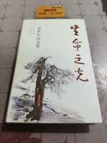生命之光：张世军诗文集