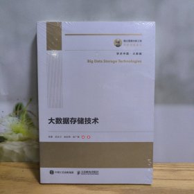 国之重器出版工程 大数据存储技术