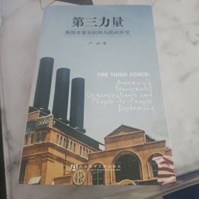 第三力量：美国非营利机构与民间外交