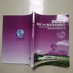 2023湖南100强企业发展报告