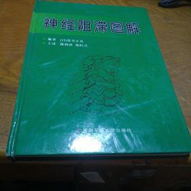 神经阻滞图解