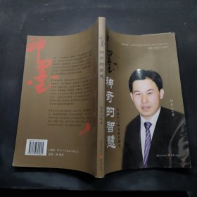 神墨，神奇的智慧 : 李锦军与神墨教育解读