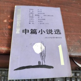 1982 中篇小说选 1