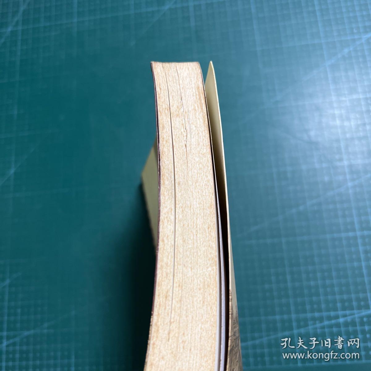 长恨歌：王安忆自选集之六