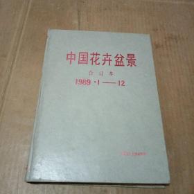 中国花卉盆景1989年1-12合订本