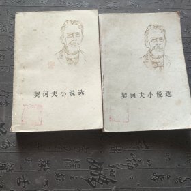 契诃夫小说选（上下册）