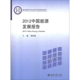 2012中国能源发展报告