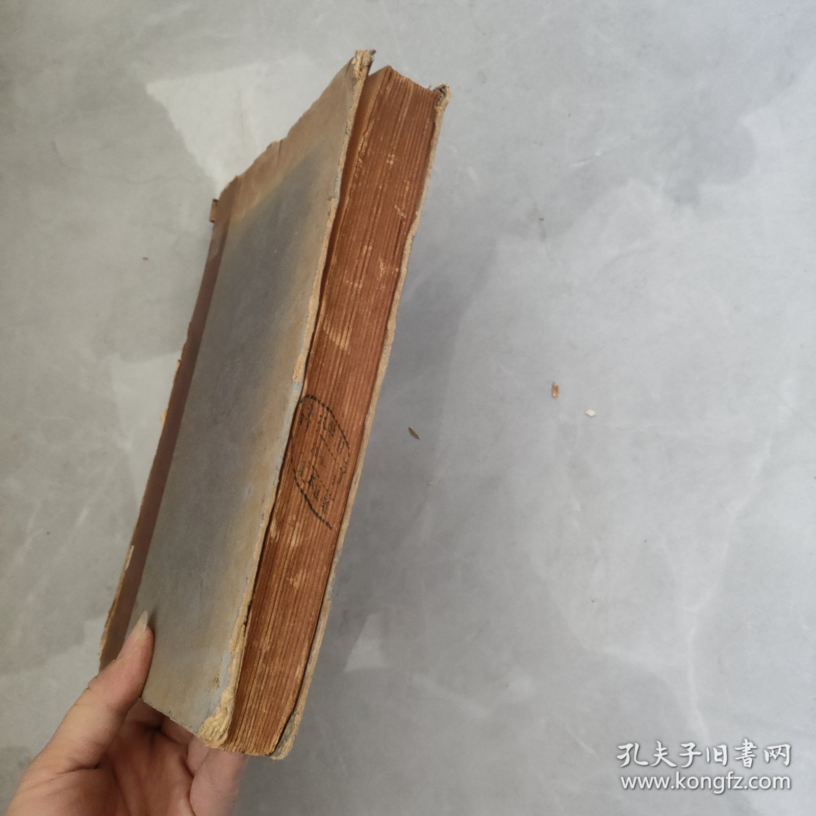 THEORY OF THE INTEGRAL BY DR STANISLAW SAKS 斯坦尼斯拉夫·萨克斯的积分理论