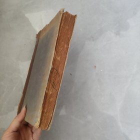 THEORY OF THE INTEGRAL BY DR STANISLAW SAKS 斯坦尼斯拉夫·萨克斯的积分理论