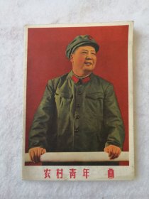 农村青年 1967年11期