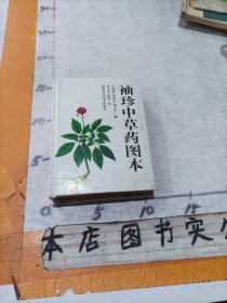 袖珍中草药图本