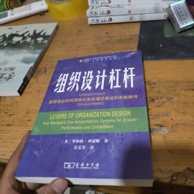 组织设计杠杆：管理者如何利用责任体系增进绩效和奉献精神