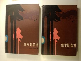 俄罗斯森林 上下(1984年)