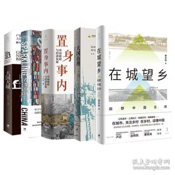 置身事内：中国政府与经济发展（罗永浩、刘格菘、张军、周黎安、王烁联袂推荐，复旦经院“毕业课”）