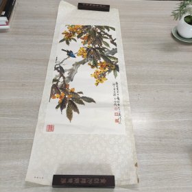 枇杷小鸟