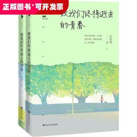 长篇小说：致我们终将逝去的青春(上下)