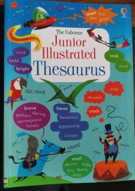 Usborne Illustrated Thesaurus 同义词同类词 词汇讲解记忆方法