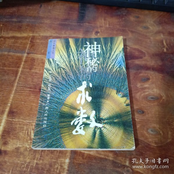 神秘的术数：中国算命术研究与批判