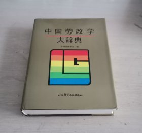 中国劳改学大辞典 精装护封 无章无字 一版一印