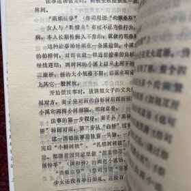 我在神鬼之间：一个彝族祭司的自述 精装