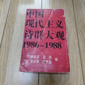 【中国现代主义诗群大观1986--1988】红皮本，中国现代诗坛的里程碑之一！（私藏品好）4