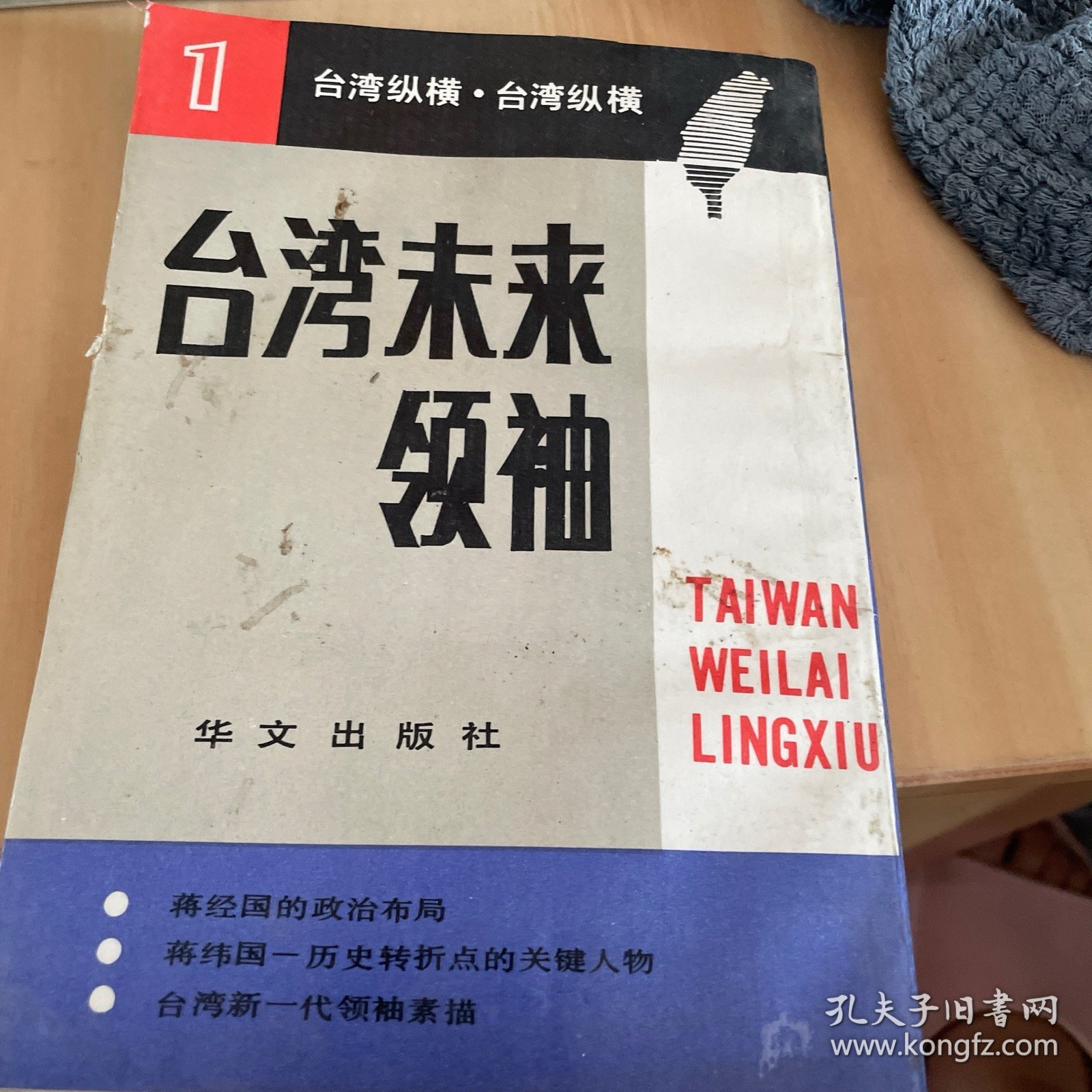 台湾纵横台湾未来领袖