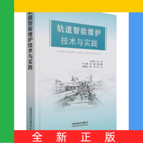 軌道智能維護(hù)技術(shù)與實(shí)踐(精)
