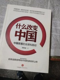 什么改变中国：中国改革的全景和路径