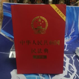 中华人民共和国民法典（大字版32开大字条旨红皮烫金）2020年6月新版