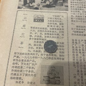 【云南沱茶专题报道】云南沱茶，又称普洱沱茶，色则乌润、滋味醇爽回甘，在国内外享有盛名，行销京、沪、苏、杭等地和法国、西德、卢森堡，加拿大等拉美20多个国家和地区。《云南日报》