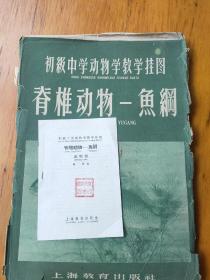 初级中学动物学挂图:脊椎动物_鱼纲