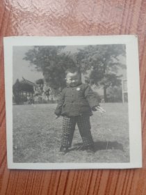 《老照片》1960年代～戴毛主席像章的小男孩