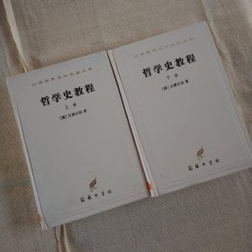 哲学史教程（上下卷）：特别关于哲学问题和哲学概念的形成和发展