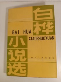 白桦小说选