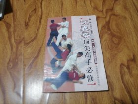 咏春拳顶尖高手必修 大32开 2009年1版6印 鞋橱上